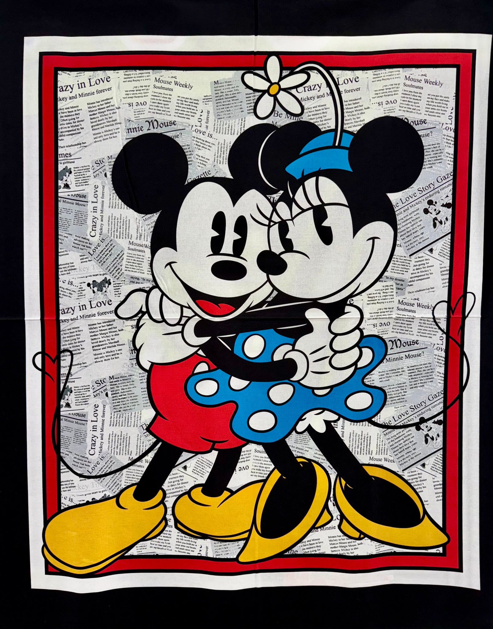 Mickey & Minnie Panel